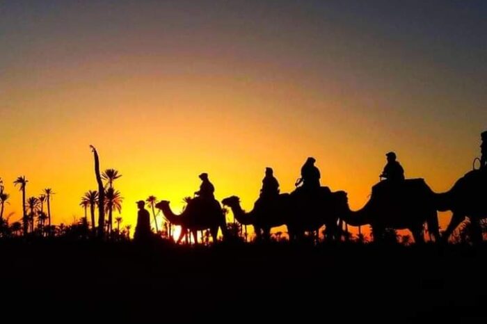 Marrakech Palmeraie: Camel Ride at Sunset